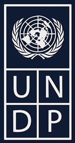 UNDP PemudaMUN Council